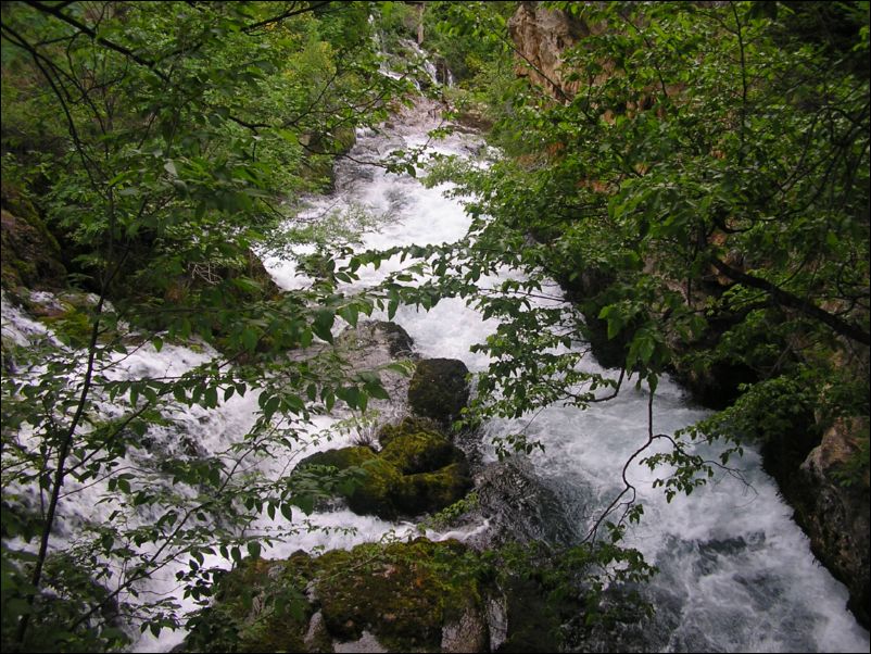 Krcic (8)